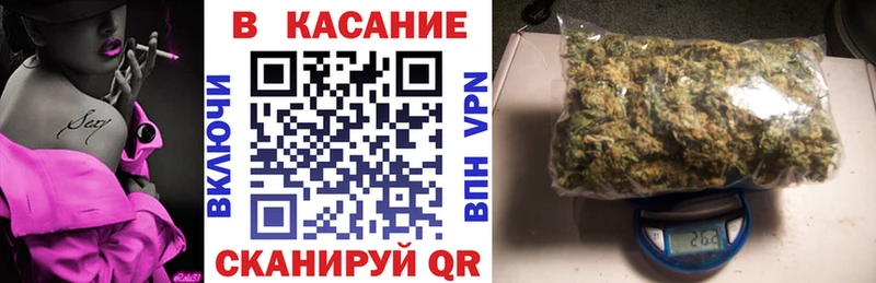 Конопля Сольвычегодск